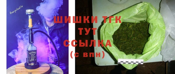 СК Богородицк