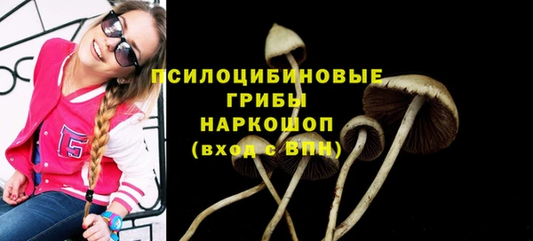 СК Богородицк