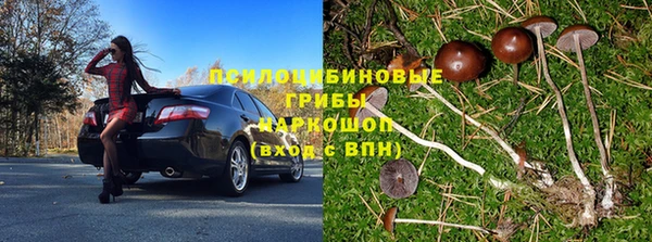 СК Богородицк