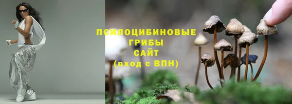 спайс Богородск