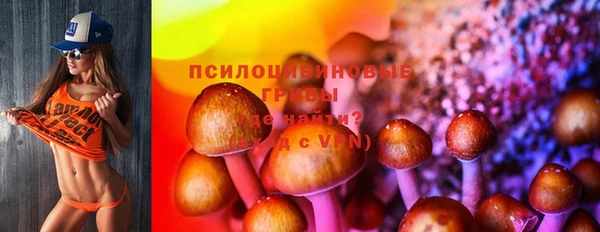 прущая мука Богданович