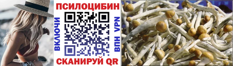 хочу наркоту  Химки  Галлюциногенные грибы Cubensis 