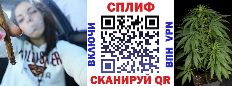 Бошки марихуана THC 21%  купить наркотик  Химки 